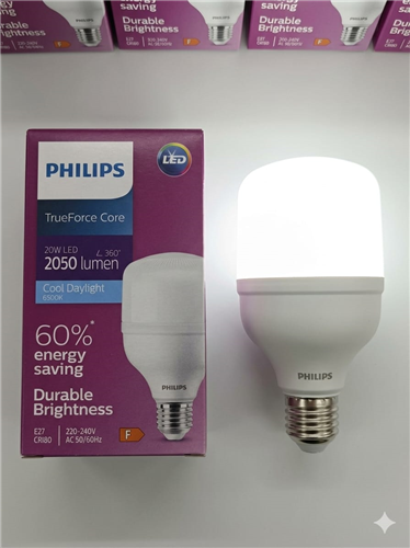 PHILIPS 20W TORCH AMPUL  PK:6